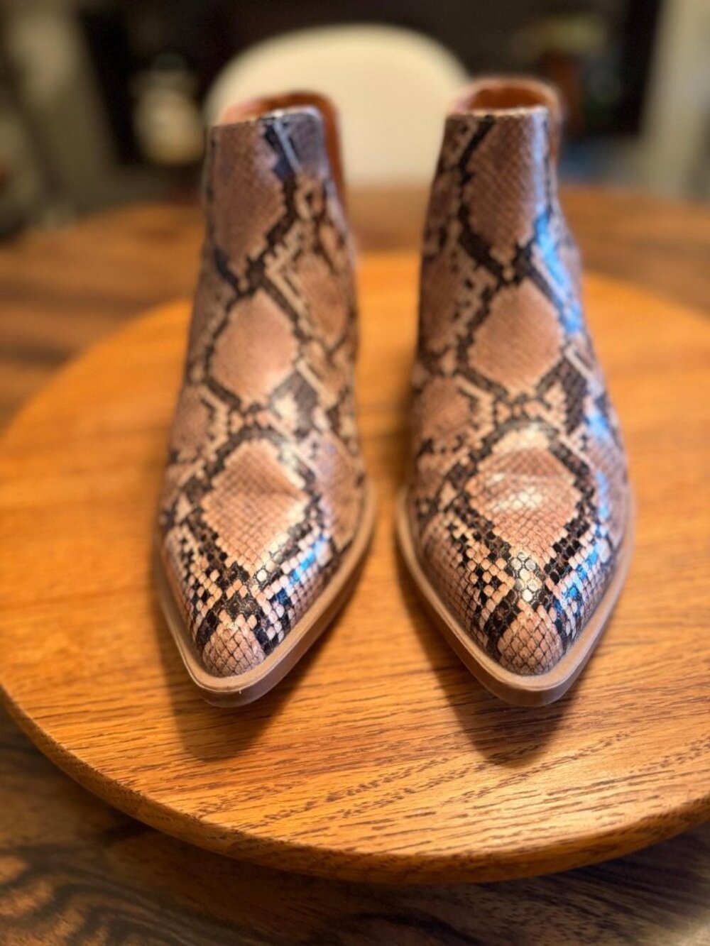 Steve Madden Joella Snake Print Slip on Block Heel Ankle Boots